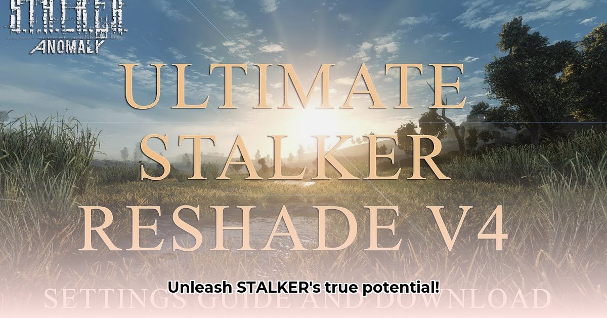 reshade-stalker-gamma-download
